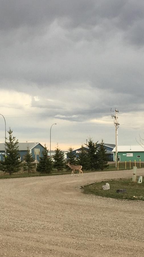 Bulldog Inns Sundre Exteriér fotografie